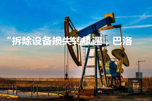 “拆除设备损失转机遇，巴洛仕集团创新升级显成效”