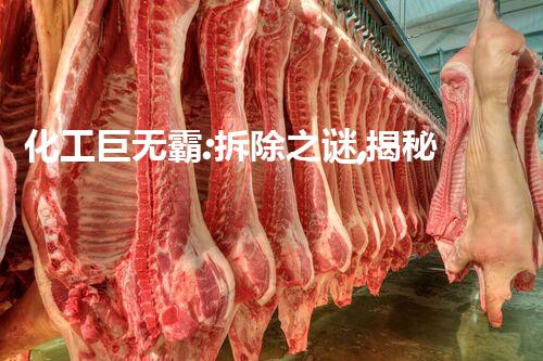 化工巨无霸:拆除之谜,揭秘庞然大物的终结之道!