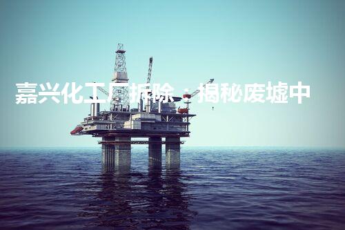 嘉兴化工厂拆除：揭秘废墟中的危险遗留，隐藏着什么惊人的真相？