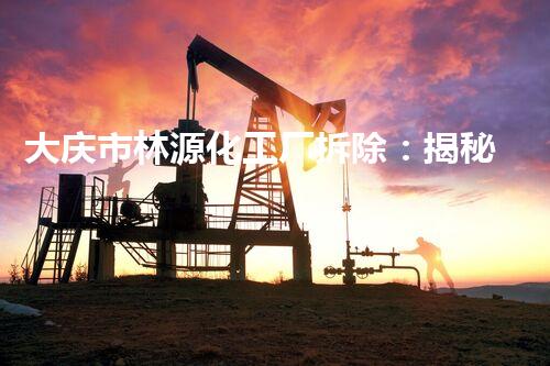 大庆市林源化工厂拆除：揭秘废墟中的惊人发现！