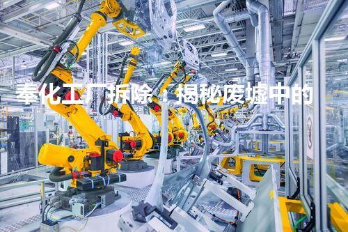奉化工厂拆除：揭秘废墟中的未解之谜！