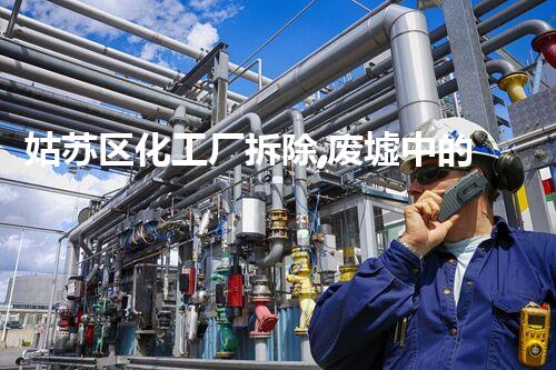 姑苏区化工厂拆除,废墟中的重生奇迹!