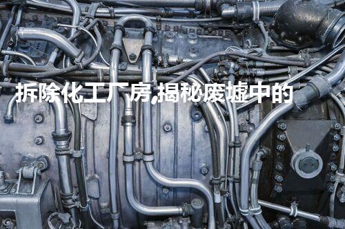 拆除化工厂房,揭秘废墟中的危险与奇迹!