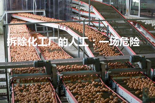 拆除化工厂的人工：一场危险与勇气的对决！