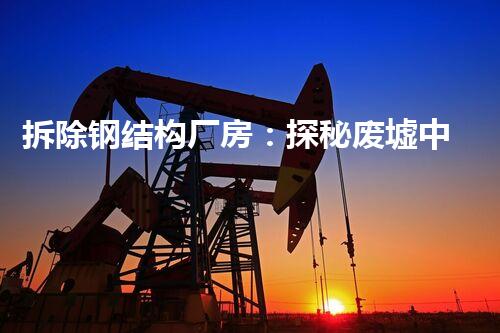 拆除钢结构厂房：探秘废墟中的工业遗迹！