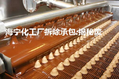 海宁化工厂拆除承包:揭秘废墟中的危险与奇迹!