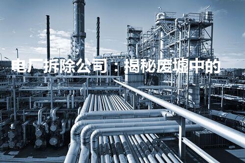 电厂拆除公司：揭秘废墟中的能量守护者！