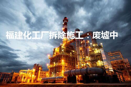 福建化工厂拆除施工：废墟中的再生奇迹！