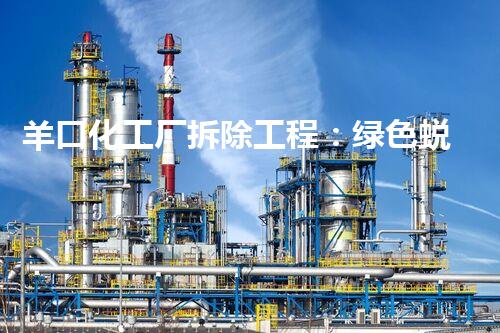 羊口化工厂拆除工程：绿色蜕变，安全升级新篇章