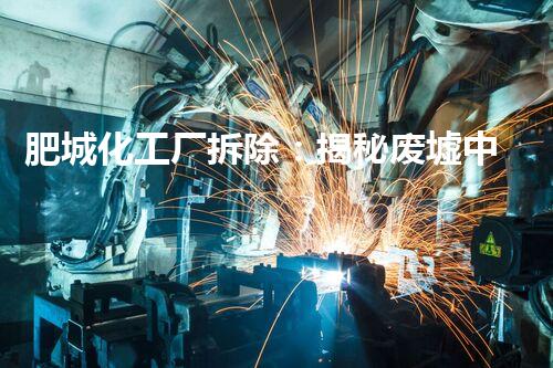 肥城化工厂拆除：揭秘废墟中的秘密！
