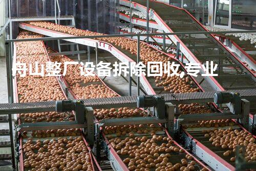 舟山整厂设备拆除回收,专业高效,服务杰出!